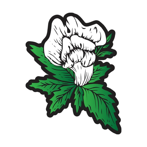 Snapdragon Hemp logo